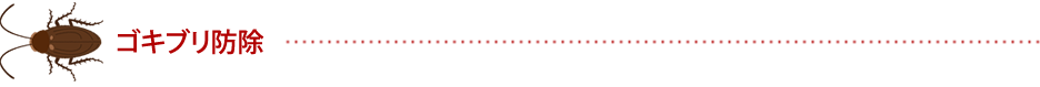 ゴキブリ防除　ゴキブリ対策
