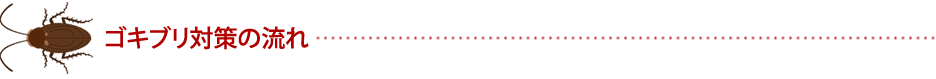 ゴキブリ防除　ゴキブリ対策の流れ