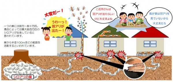 シロアリの巣　シロアリ駆除　三共プロテック