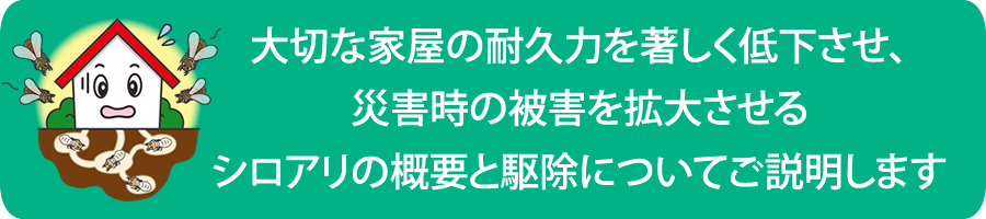 シロアリの概要と駆除　（シロアリ対策　シロアリ駆除）