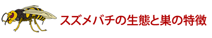 スズメバチの生態と巣の特徴 スズメバチ 対策
