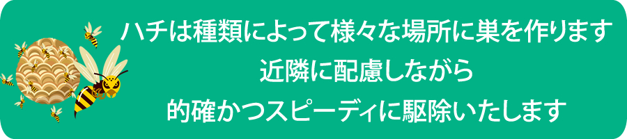 ハチの生態と対策(害虫 ハチ対策)