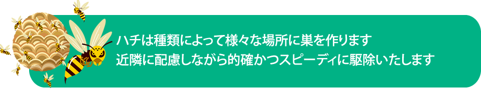 ハチの生態と対策(害虫 ハチ対策)