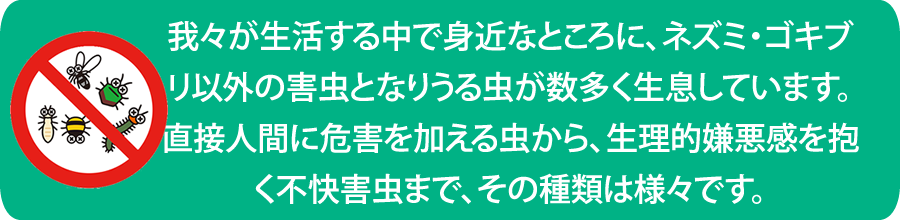 衛生害虫駆除　ムカデ　ヤスデ　ダニ　飛翔害虫　