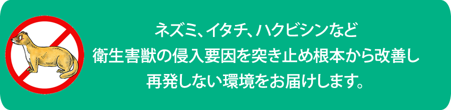 衛生害獣対策