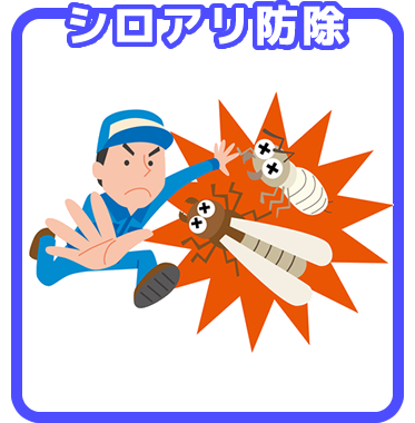 シロアリ駆除 三共プロテック 香川県 高松市