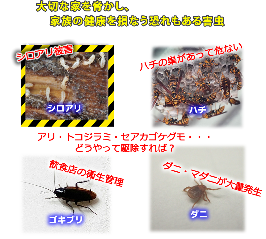 害虫駆除 三共プロテック