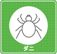 ダニ駆除
