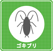 ゴキブリ駆除