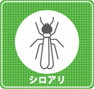 シロアリ駆除